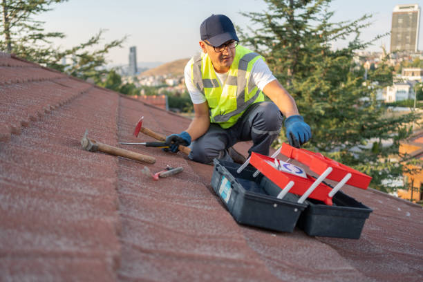 Best Demolition Debris Removal  in Tonopah, NV